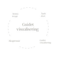 Guidet visualisering .jpg