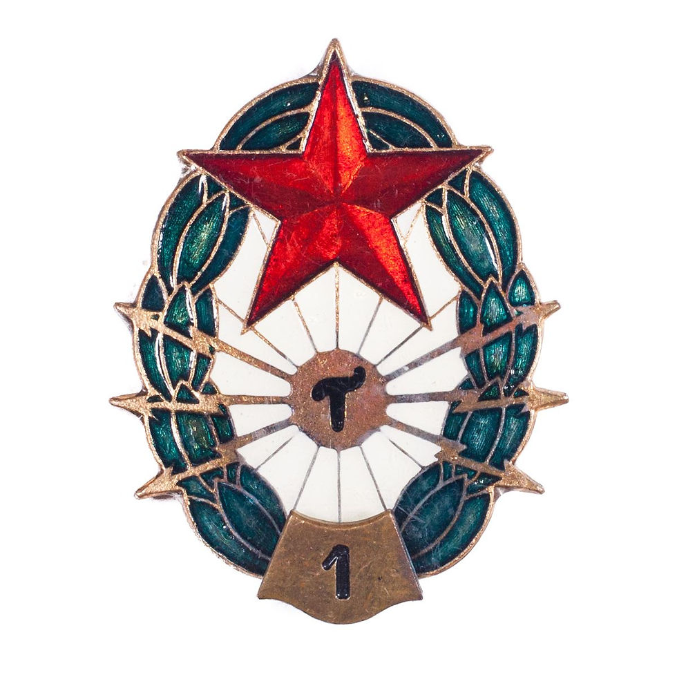 Hungarian Communications Specialist Badge, Grade 1