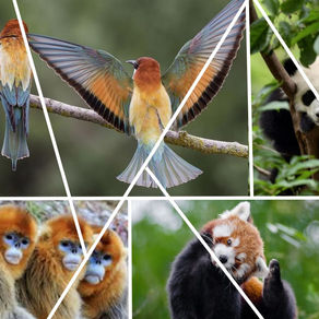 China is Tackling Biodiversity