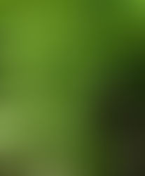 業績、アルバム、メンバーページなどを更新しました（2026年4月2日）