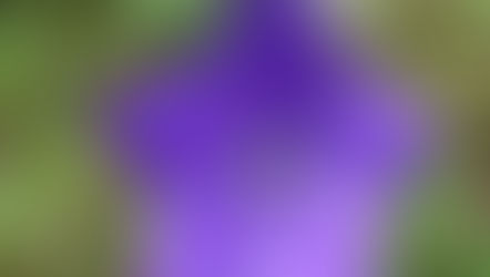 6年生の小林 史佳さんが、第75回日本薬学会関西支部総会・大会において、優秀ポスター発表賞を受賞されました!