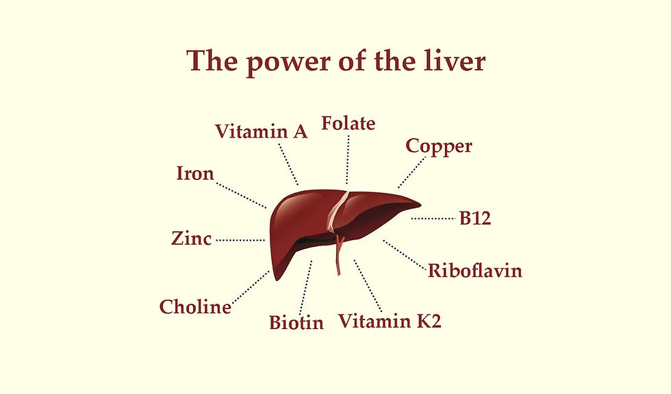 Thumbnail: Liver Graphic