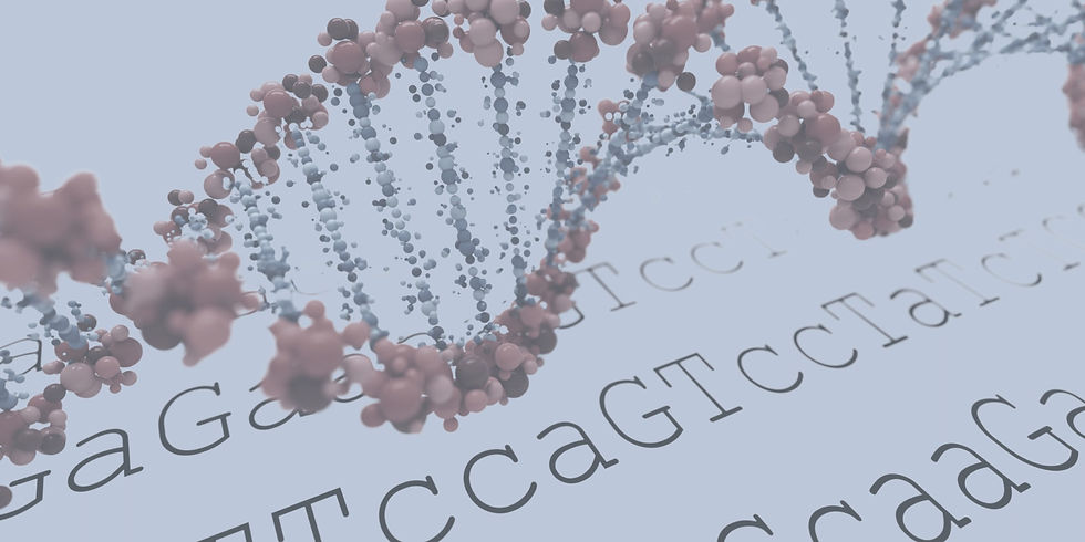 Untitled design (2)-min_edited.jpg