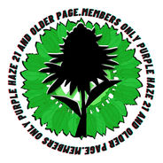 4808 Siskin Ct, Sacramento, CA, USA