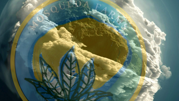 Furnished Room Rentals