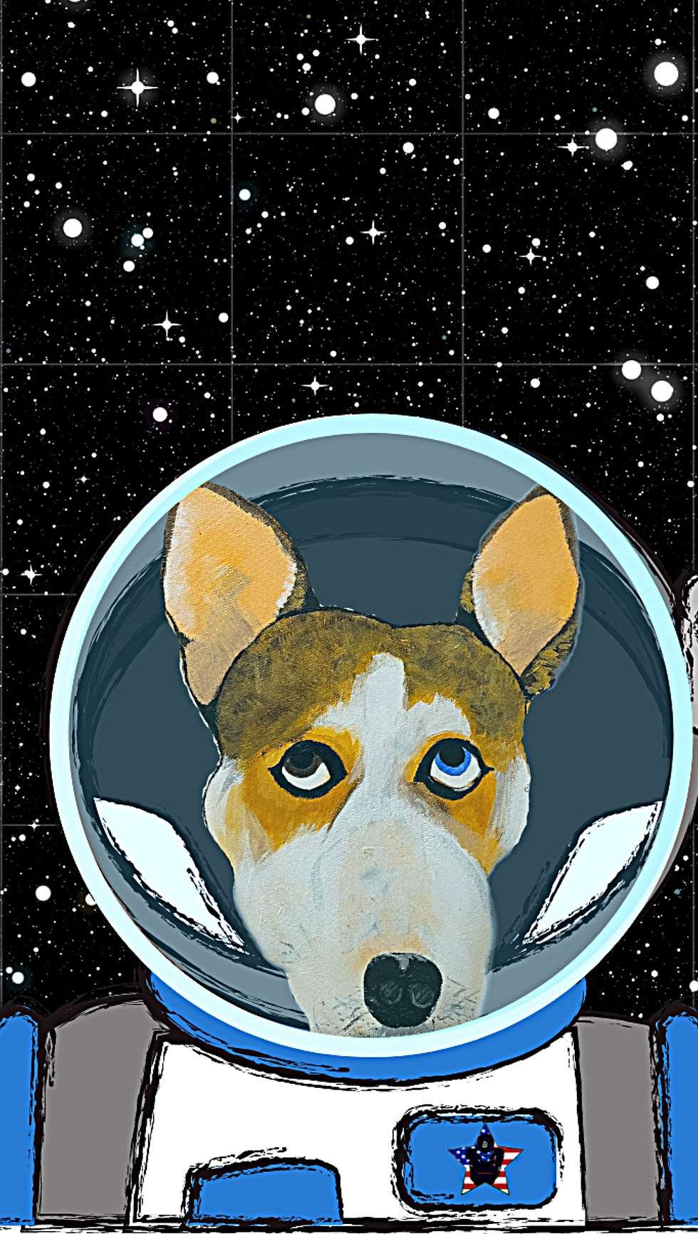space dog