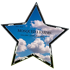 The Ojibwe Indian group created the dreamcatcher, an item made to catch bad dreams and let good dreams pass through. The dreamcatcher has been widely adapted by other peoples. Here at Mosqueda Farms we have 11 dreamcatcher themed collections. With each collection meant to stretch the glob, and in doing so, share peace along the way!