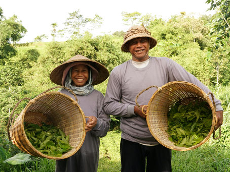 Locals Don’t Depend on Tourism. Predatory Tourism Makes Them Do.