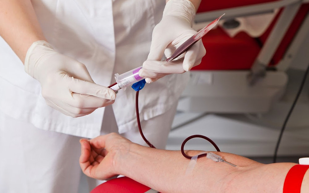 Hemoterapia o que é, para que serve e riscos Hemoterapia o que é, para que serve e riscos