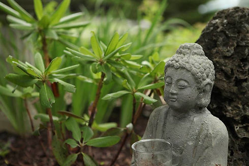 11017365_1479280759053105_17362924734689