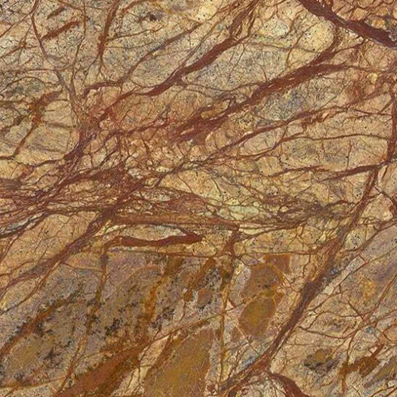 Rain Forest Brown