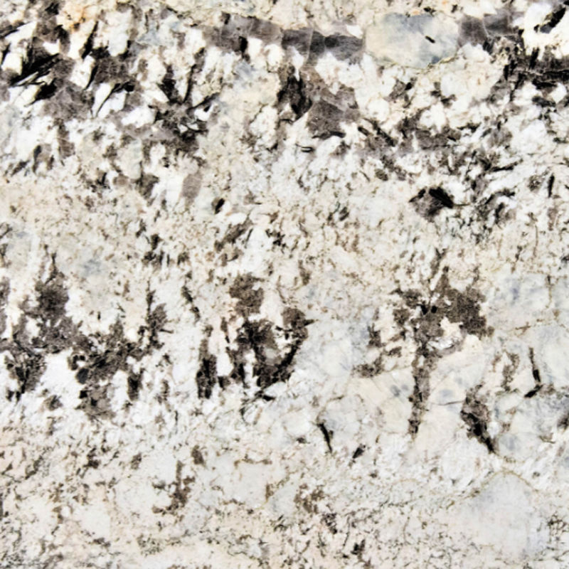 Alaska White