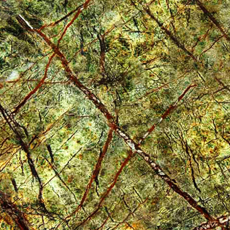 Rain Forest Green