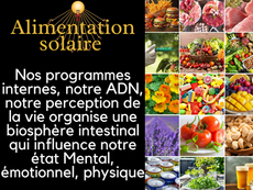 Les aliments modifie l’énergie interne du corps