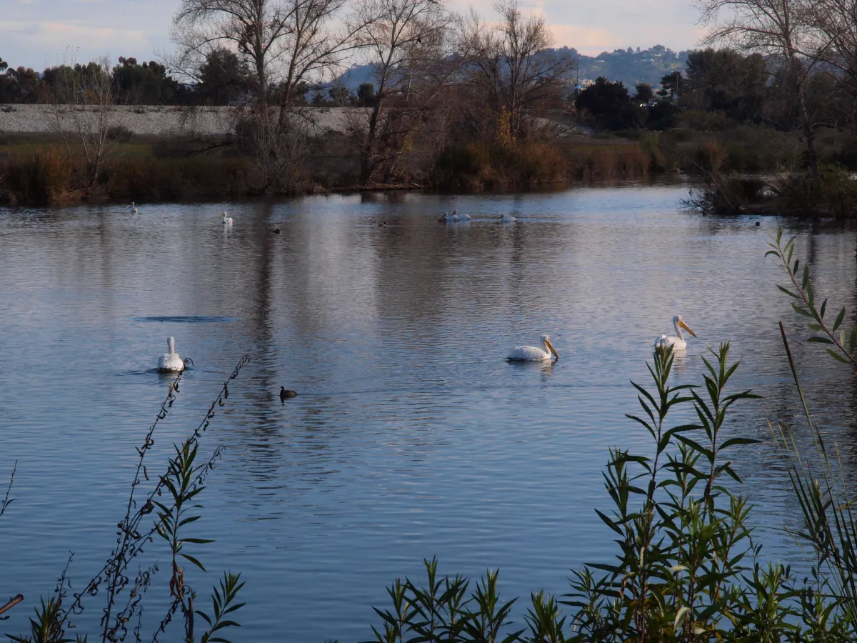Sepulveda-Basin.webp