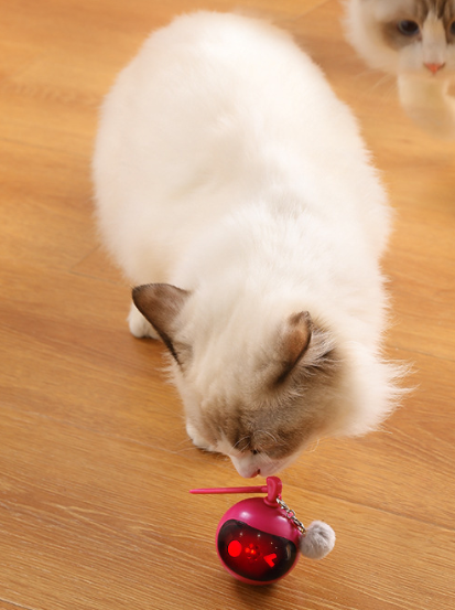Thumbnail: Sniff-N-Squeak ZippyBot Interactive Cat Roller