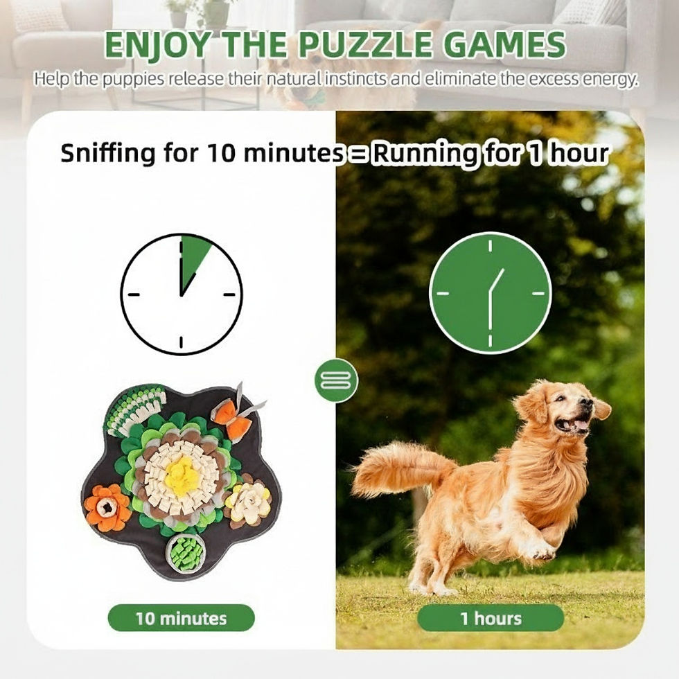 Thumbnail: Sniff-N-Squeak Meadow Bloom Snuffle Mat