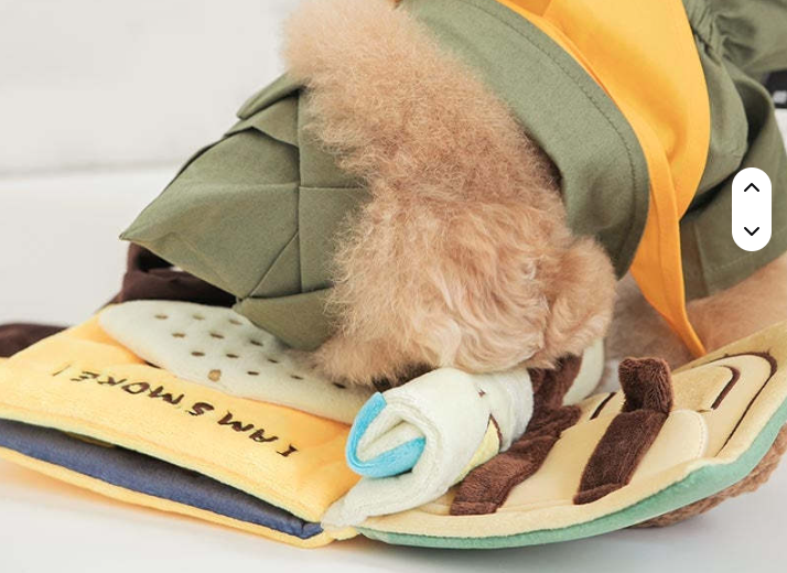 Thumbnail: Sniff-N-Squeak Foraging Snuffle Book