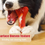 Thumbnail: ToughChew BonePro - Durable Chew Toy for Dogs