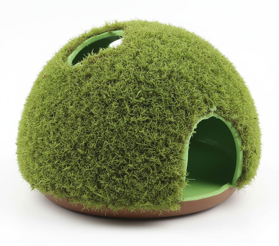 Thumbnail: Sniff-N-Squeak Critter Tree Enrichment System