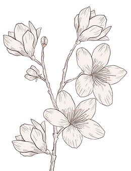 FLEUR de BLOSSOM - Lia Blossom Agde