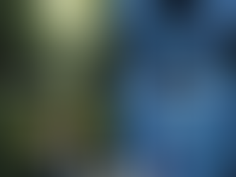 Real or AI-Generated? Navigating the Digital Landscape