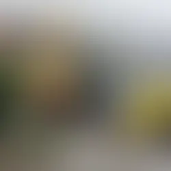 Tragedia en Napo: una mujer fallece tras deslizamiento de tierra