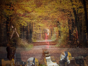El bosque con botas