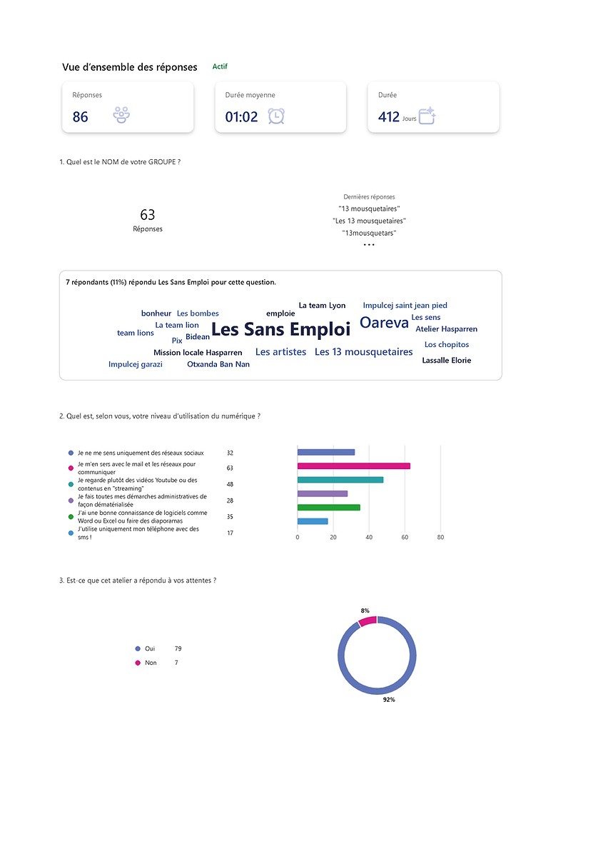 IMPULCEJ Pix Emploi_Page_1.png