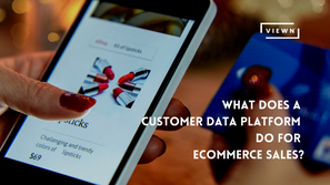 What does a customer data platform do for eCommerce sales?
