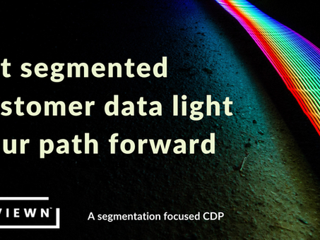 Data-driven customer segmentation