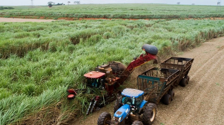 Tereos intensifica manutenção na entressafra e mobiliza 2,5 mil colaboradores para próxima safra