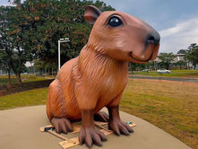 Dona Capi chega à represa e encanta Rio Preto na abertura do Natal 2025