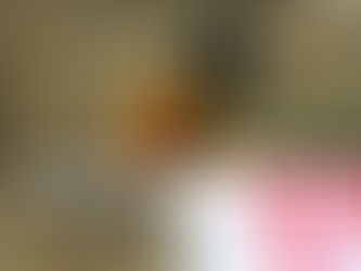 Feminicídios sobem em janeiro no estado de SP e chegam a 27 vítimas