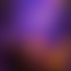 Um Grito Parado no Ar