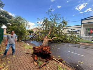 Temporal derruba árvores e danifica decoração de Natal em Rio Preto