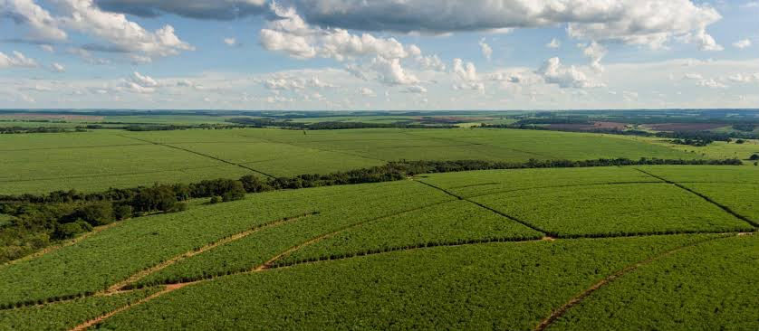 Recursos fazem parte de um pacote de R$ 839 milhões destinado às operações agrícolas e industriais da companhia