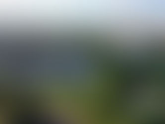 Rio Preto se firma como polo científico com docentes do IBILCE entre os mais influentes do mundo