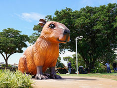 Dona Capi é reaberta após manutenção na Represa Municipal