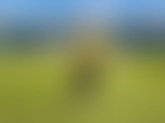 Parceria de 18 anos: Poty mantém patrocínio ao Mirassol FC