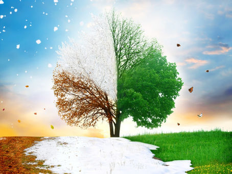 How to Navigate Transitions During This Season