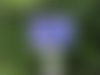 Please be aware of great stories.