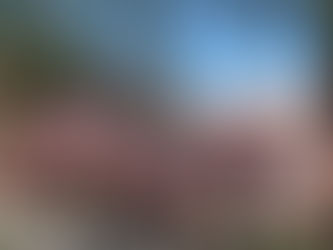 On liberty, Paul Eluard, and a century of exchanges