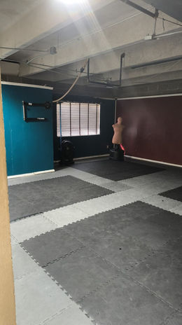 Main studio space from the entrance of the space includes far wall with window and additional training equipment.