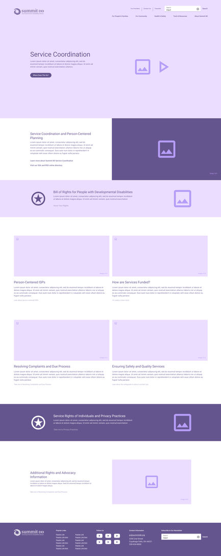 Service Coordination - Summit DD Wireframe Desktop