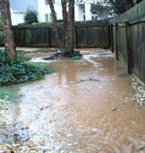 poor drainage.jpg