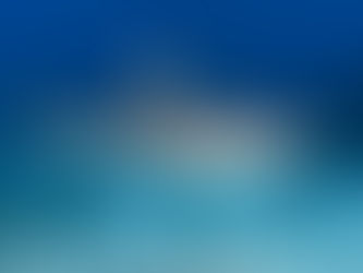 Buccal Pumping vs Ram Ventilation: Two Sides to Gills