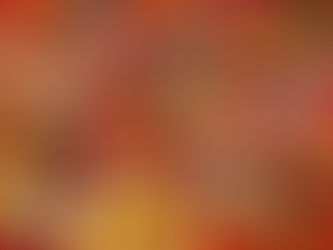 Make The Perfect Lunar New Year Dinner With Umamicart