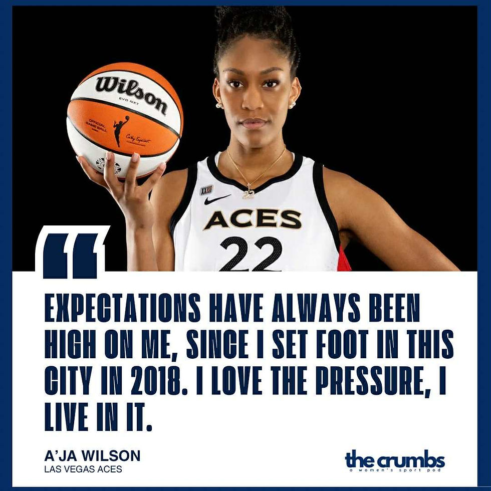 Phoenix Mercury and Las Vegas Aces contend 2025 WNBA Finals Series