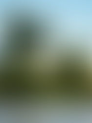 Visitas lusas à Cité du Vin cresceram 63% em 2022